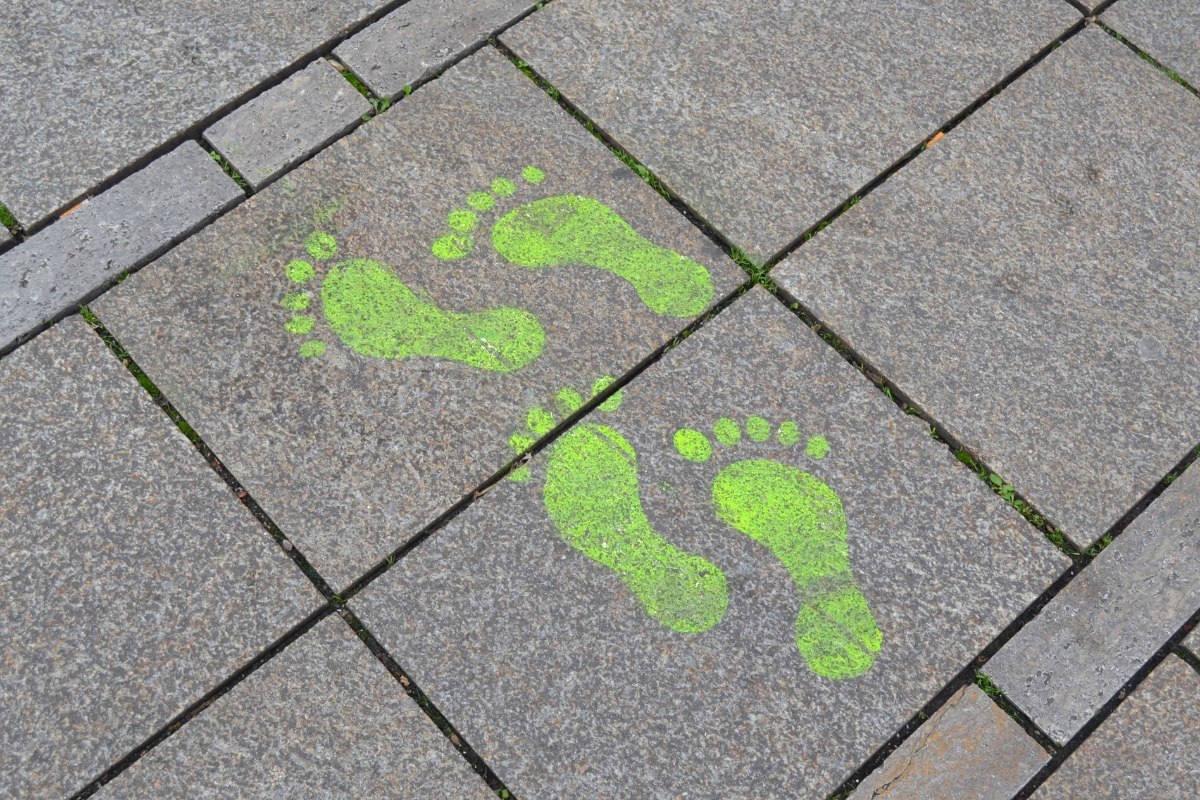 3 Thing We've Done to Reduce Our Carbon Footprint